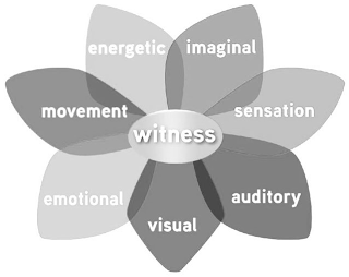 WITNESS IMAGINAL SENSATION AUDITORY VISUAL EMOTIONAL MOVEMENT ENERGETIC