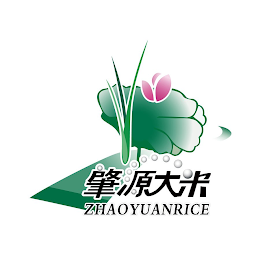 ZHAOYUANRICE