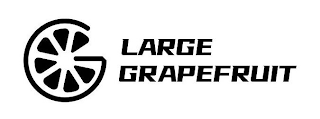 LARGE GRAPEFRUIT