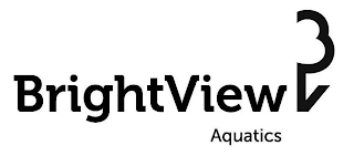 BRIGHTVIEW BV AQUATICS