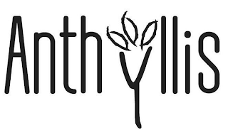 ANTHYLLIS