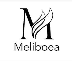 M MELIBOEA