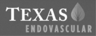 TEXAS ENDOVASCULAR