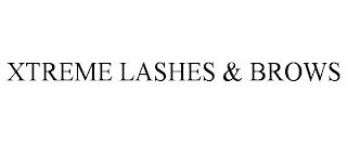 XTREME LASHES & BROWS