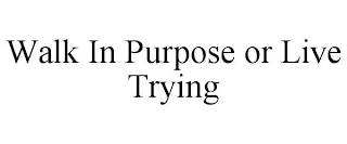 WALK IN PURPOSE OR LIVE TRYING