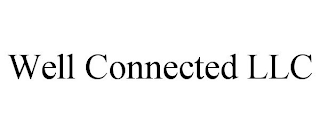 WELL CONNECTED LLC