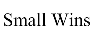 SMALL WINS