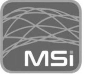 MSI