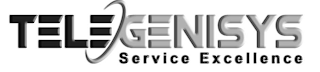 TELEGENISYS SERVICE EXCELLENCE