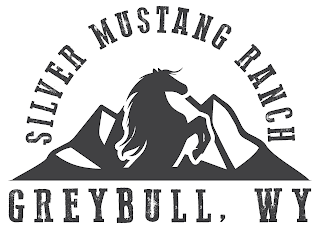 SILVER MUSTANG RANCH GREYBULL, WY