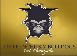 LOS FRENCHIES Y BULLDOGS DEL CHANGUITO