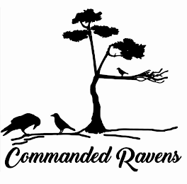 COMMANDED RAVENS