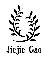 JIEJIE GAO