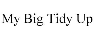 MY BIG TIDY UP