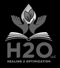 H2O LLC HEALING 2 OPTIMIZATION