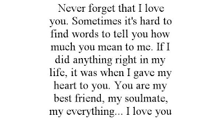 NEVER FORGET THAT I LOVE YOU. SOMETIMES IT'S HARD TO FIND WORDS TO TELL YOU HOW MUCH YOU MEAN TO ME. IF I DID ANYTHING RIGHT IN MY LIFE, IT WAS WHEN I GAVE MY HEART TO YOU. YOU ARE MY BEST FRIEND, MY SOULMATE, MY EVERYTHING... I LOVE YOU