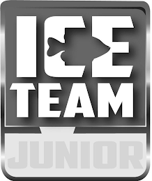 ICE TEAM JUNIOR