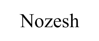 NOZESH
