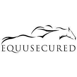 EQUUSECURED