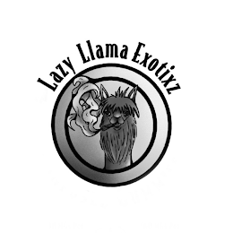 LAZY LLAMA EXOTIXZ