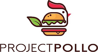 PROJECT POLLO