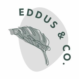 EDDUS & CO.