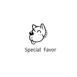 SPECIAL FAVOR