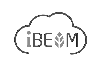 IBEAM