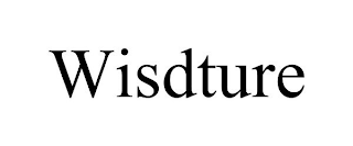 WISDTURE