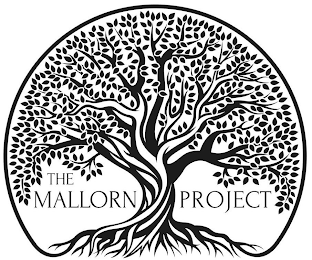 THE MALLORN PROJECT