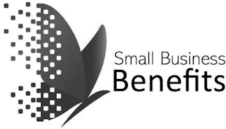 SMALL BUSINESS BENEFITS