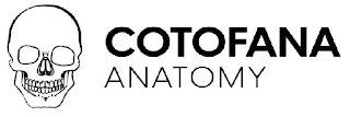 COTOFANA ANATOMY