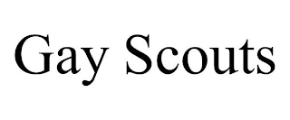 GAY SCOUTS