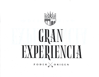 GRAN EXPERIENCIA PODER ORIGEN