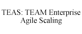 TEAS: TEAM ENTERPRISE AGILE SCALING