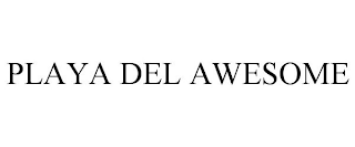 PLAYA DEL AWESOME