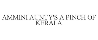 AMMINI AUNTY'S A PINCH OF KERALA