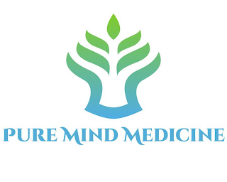 PURE MIND MEDICINE