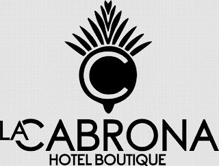 C LA CABRONA HOTEL BOUTIQUE