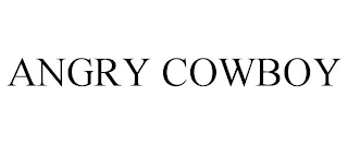 ANGRY COWBOY