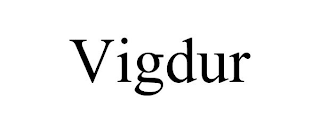 VIGDUR