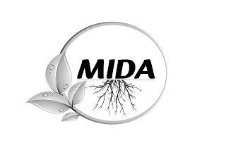 MIDA
