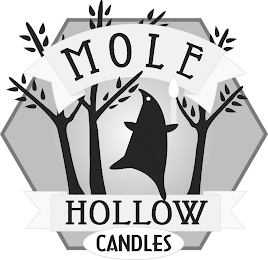 MOLE HOLLOW CANDLES