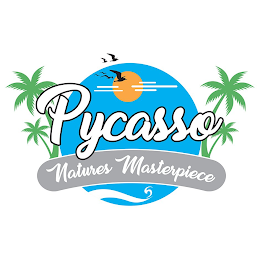 PYCASSO NATURES MASTERPIECE