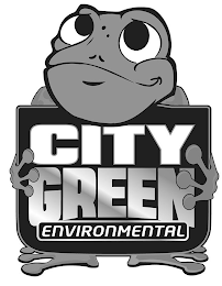 CITY GREEN ENVIRONMENTAL