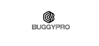 BUGGYPRO