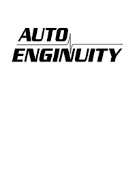 AUTO ENGINUITY