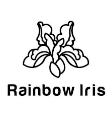 RAINBOW IRIS