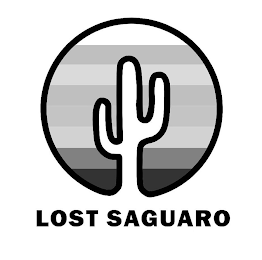 LOST SAGUARO