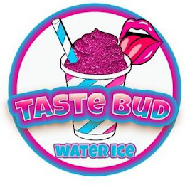 TASTE BUD WATER ICE